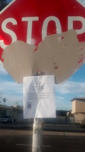 IMG_20150127_161858797