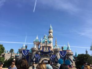 11120903_10204055460686506_2056614857_n